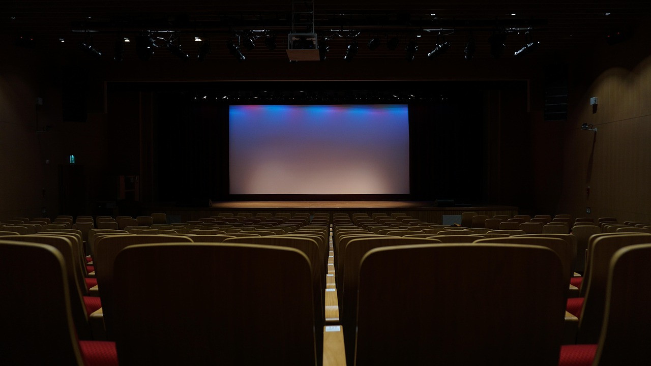 Representative image: cinema hall audience screen