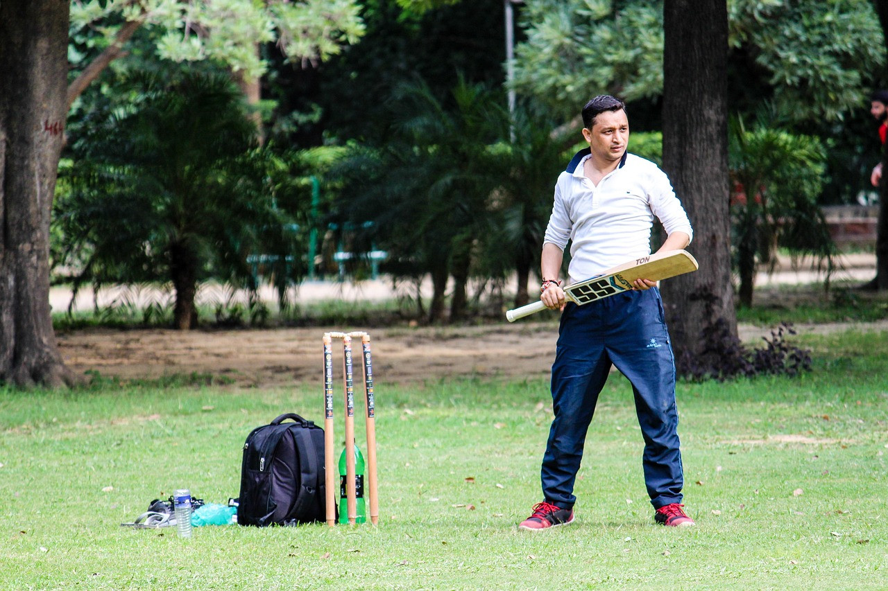 Representative image: cricket stumps