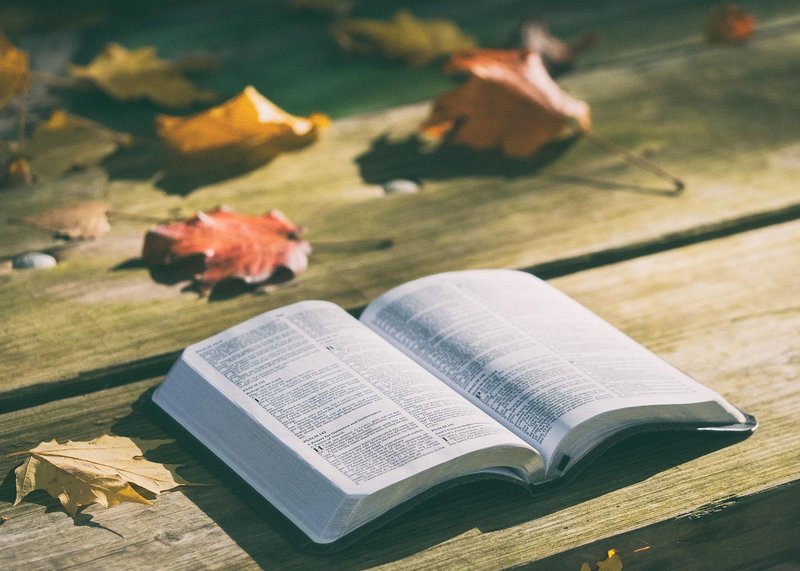Representative image: open book palm leaf manuscript