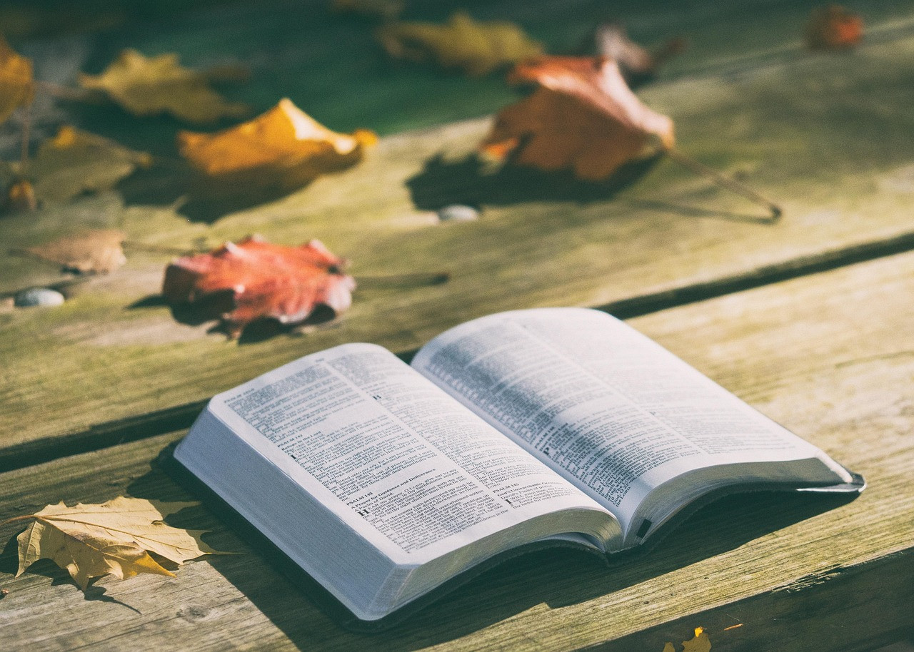 Representative image: open book palm leaf manuscript