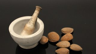 KAUMARACON 2026: Ayurveda paediatrics conference opens at AIIA with Vice-President