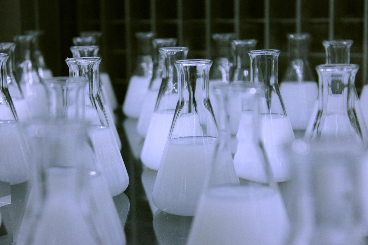 Representative image: green algae laboratory flask