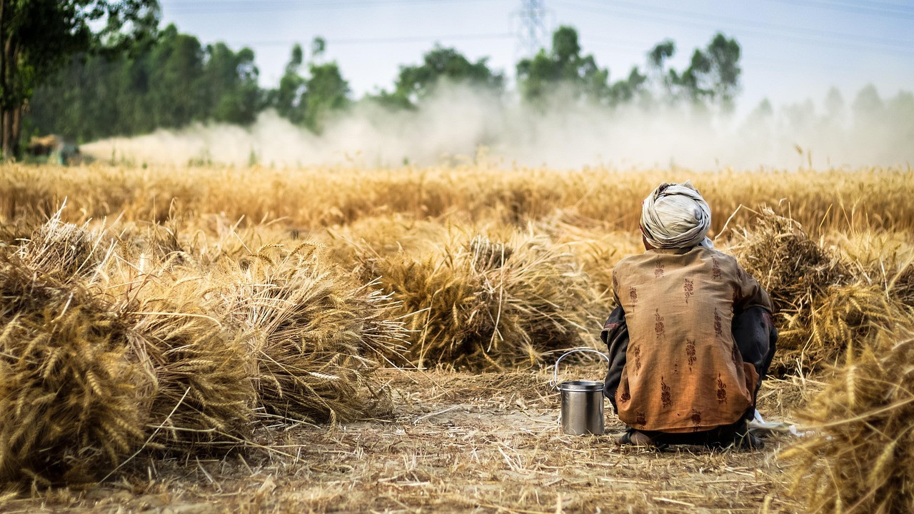 Representative image: farmer wheat field sowing