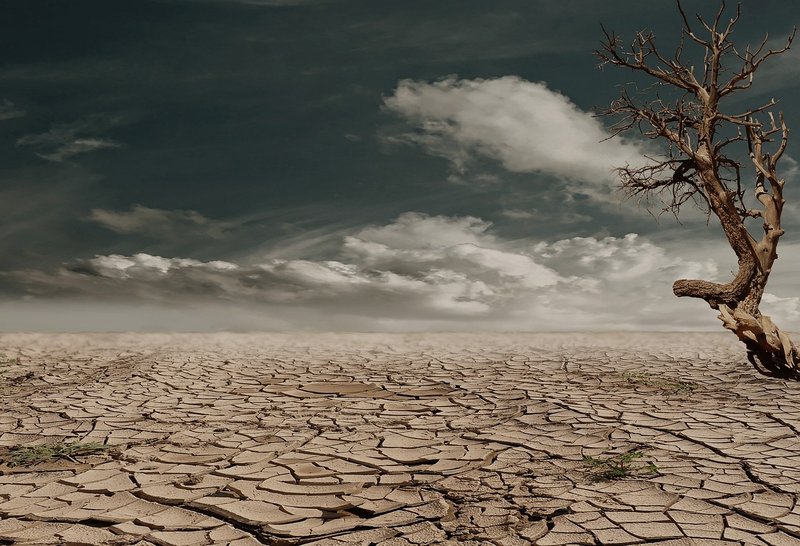 Representative image: dry cracked earth