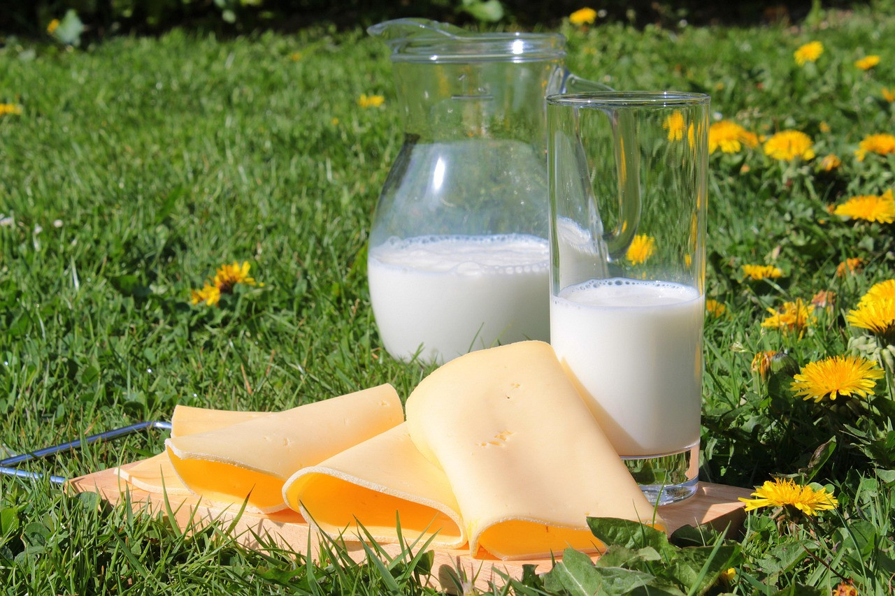 Representative image: milk dairy products