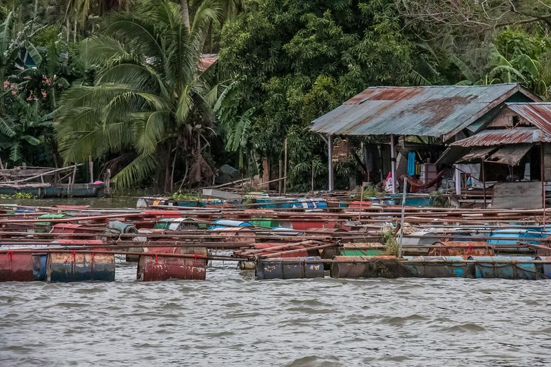 Representative image: fish farming cages lake