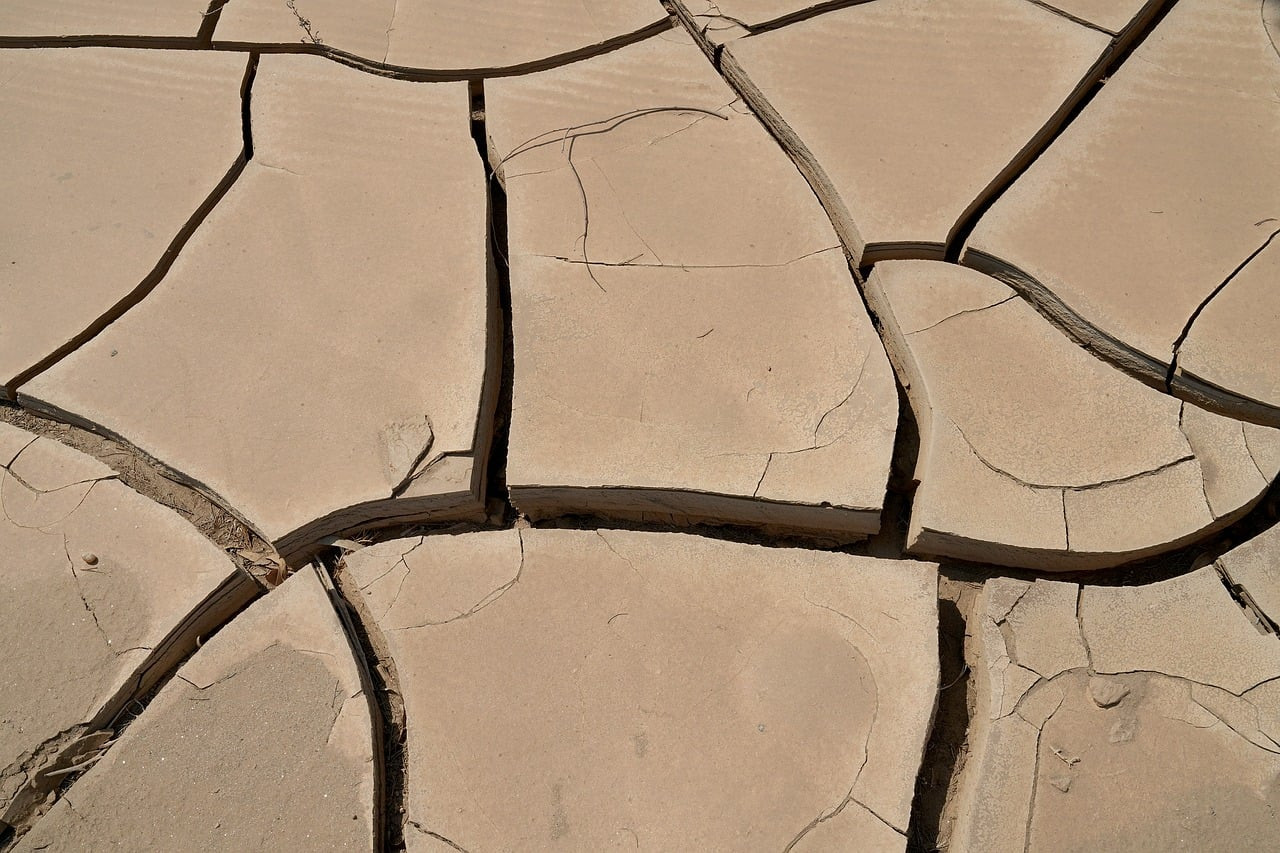 Representative image: dry cracked farmland