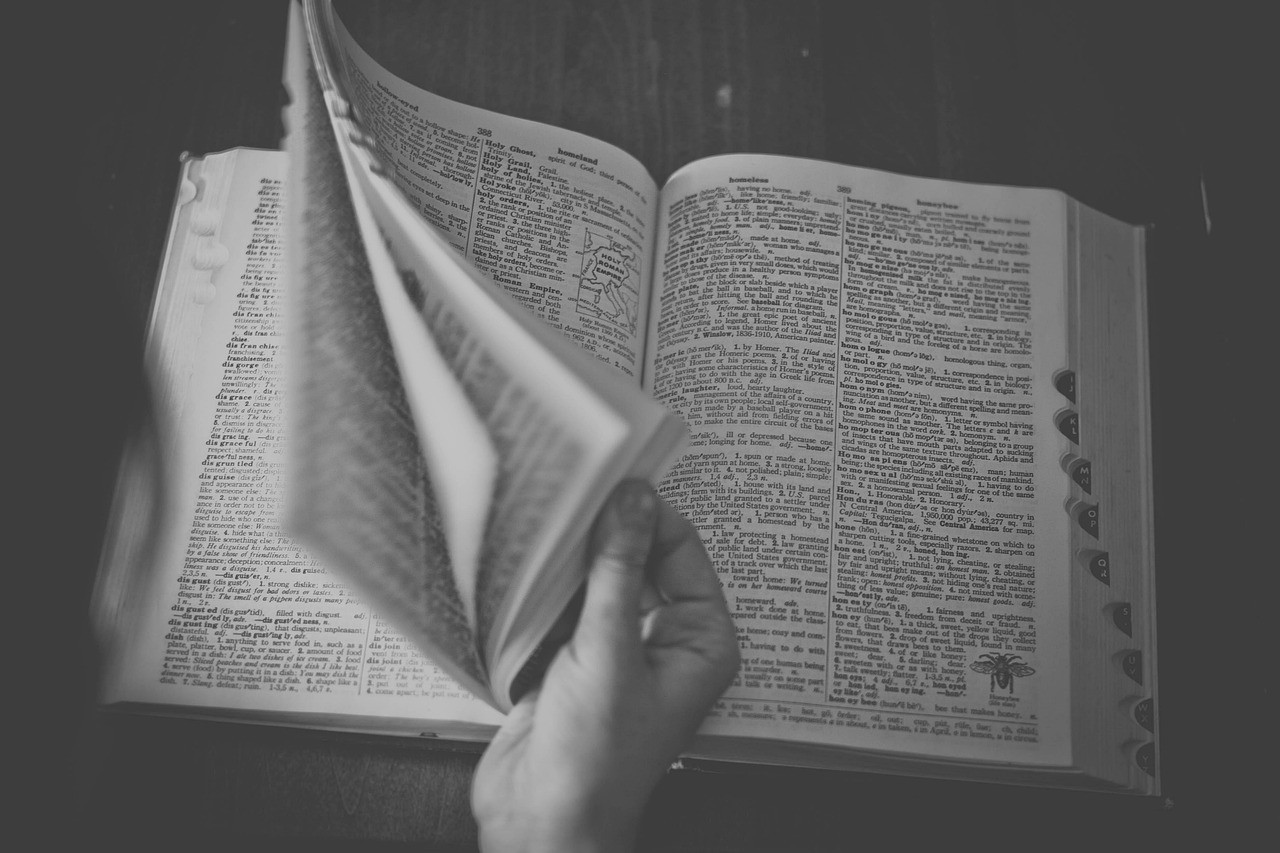 Representative image: open dictionary pages