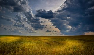 Microsoft-led AI method doubles skill of 2-6 week weather forecasts, Nature study says