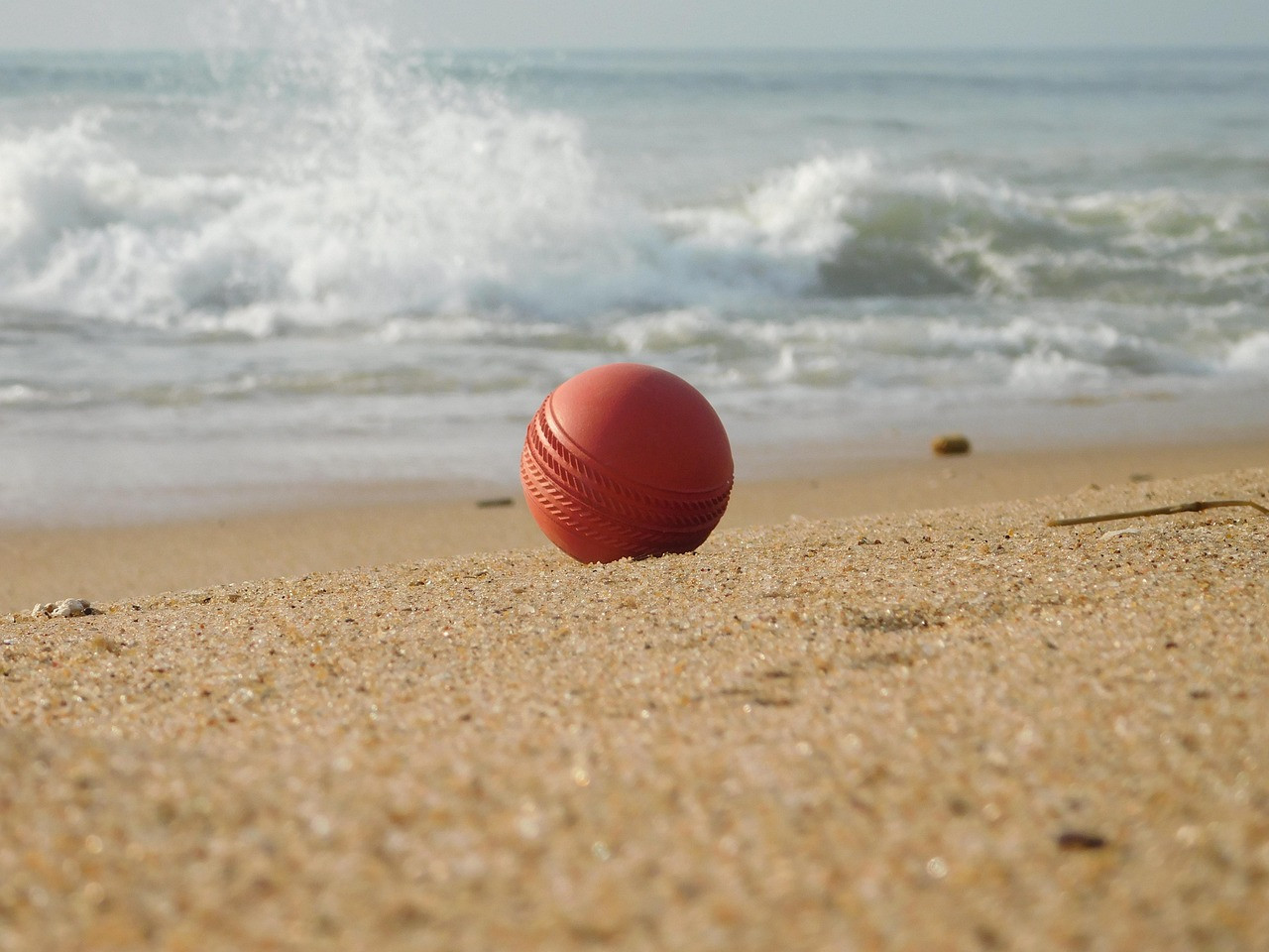 Representative image: cricket ball