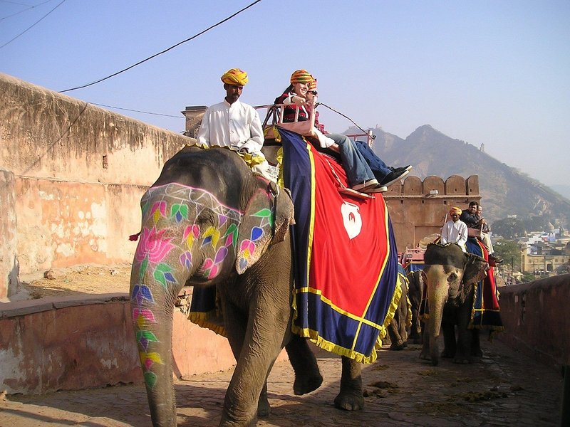 Mysuru Dasara opens October 11 after tusker Mahendra halts howdah rehearsal