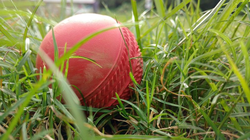 Representative image: red cricket ball