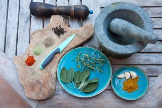 NIA Panchkula gets nod for 14 Ayurveda PG courses with 70 seats