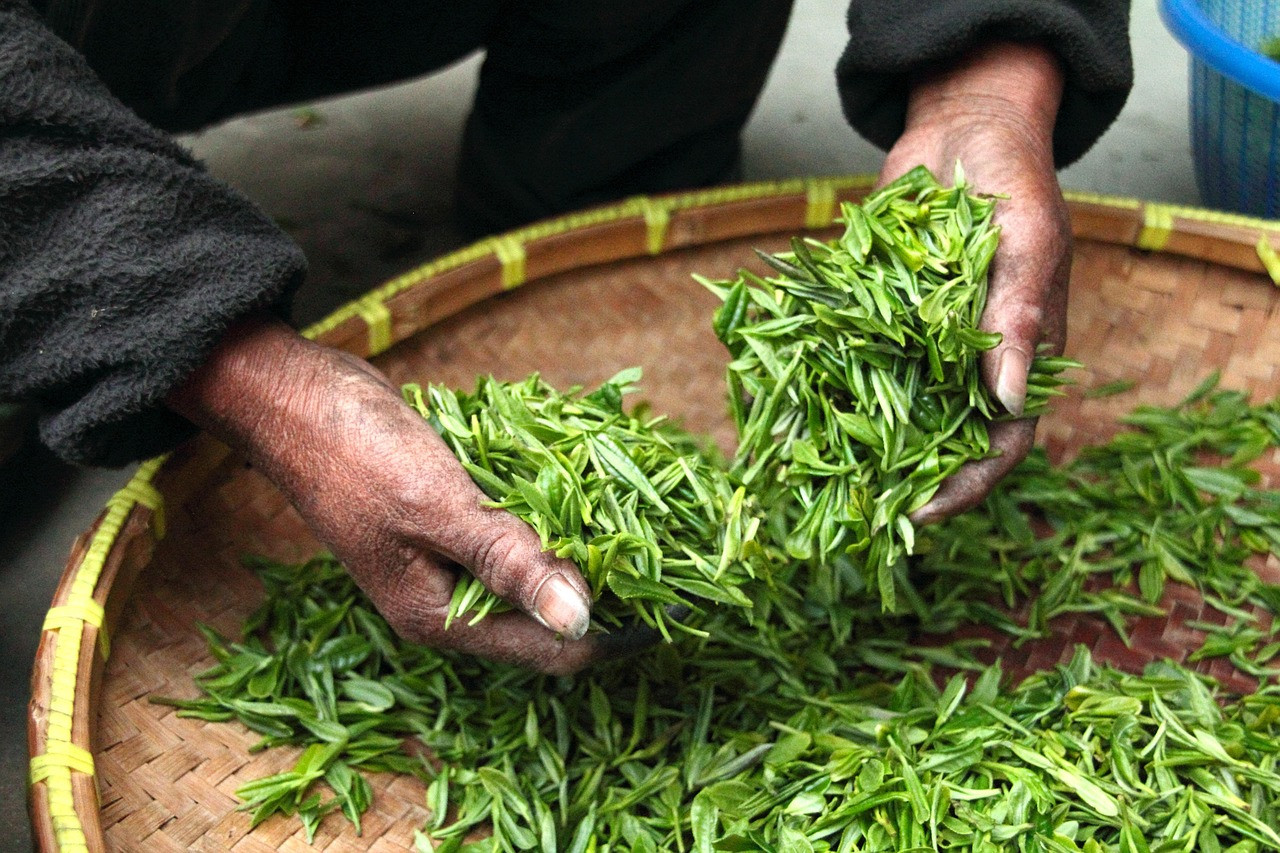 Representative image: women farmers sorting vegetables