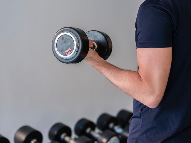 Older vegetarians gain strength from weight training, but less muscle: Dutch trial