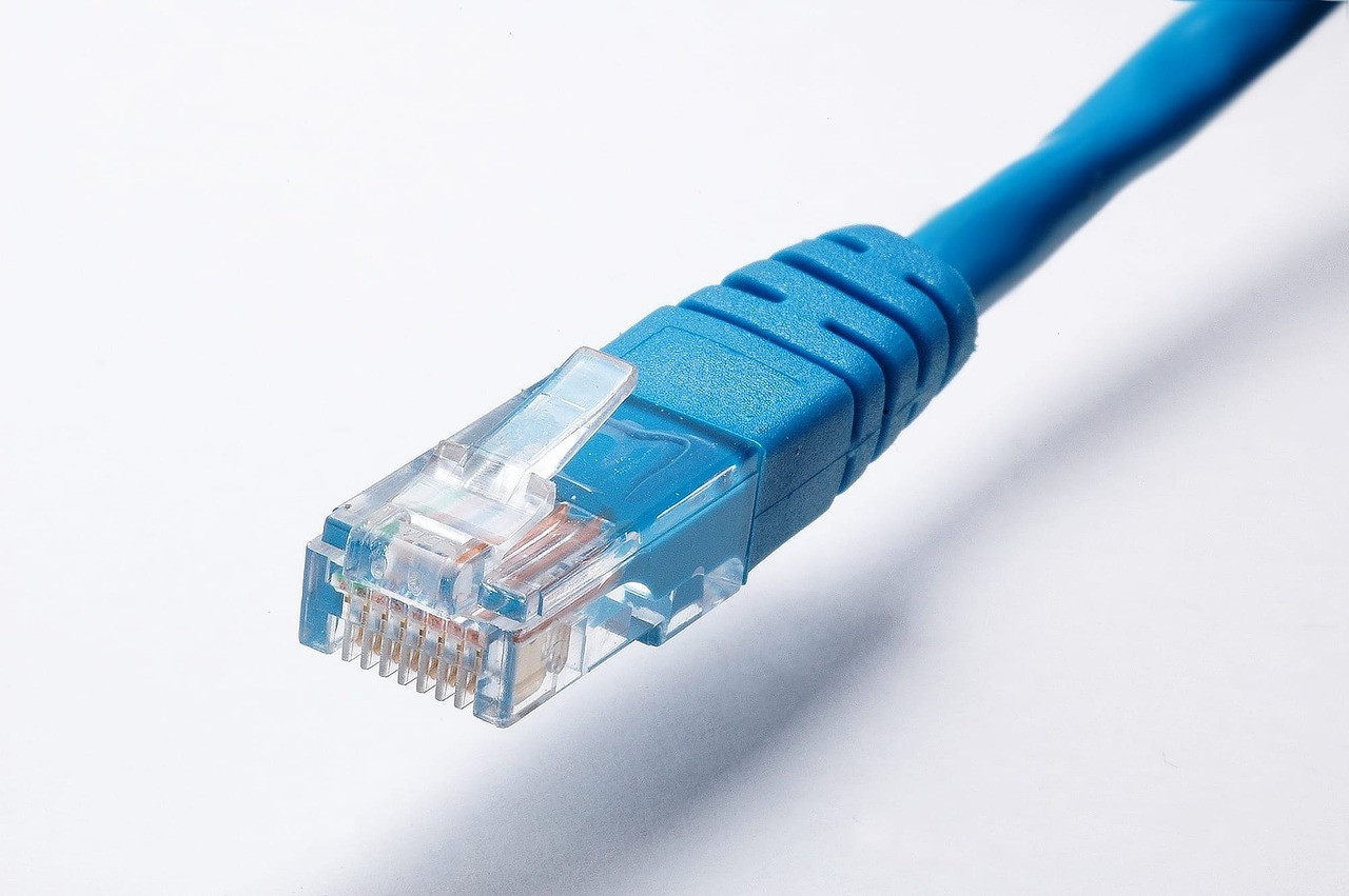 Representative image: unplugged ethernet cable