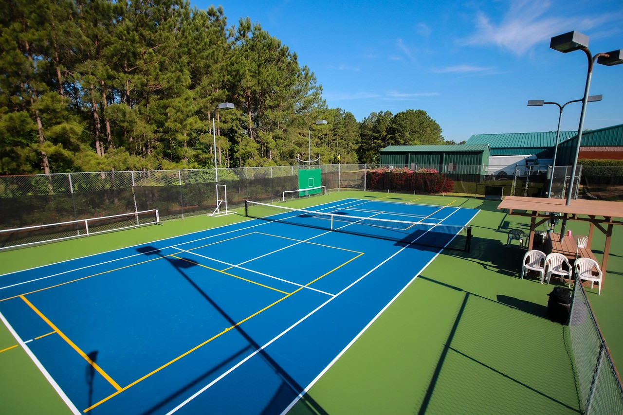 Representative image: pickleball paddle and ball