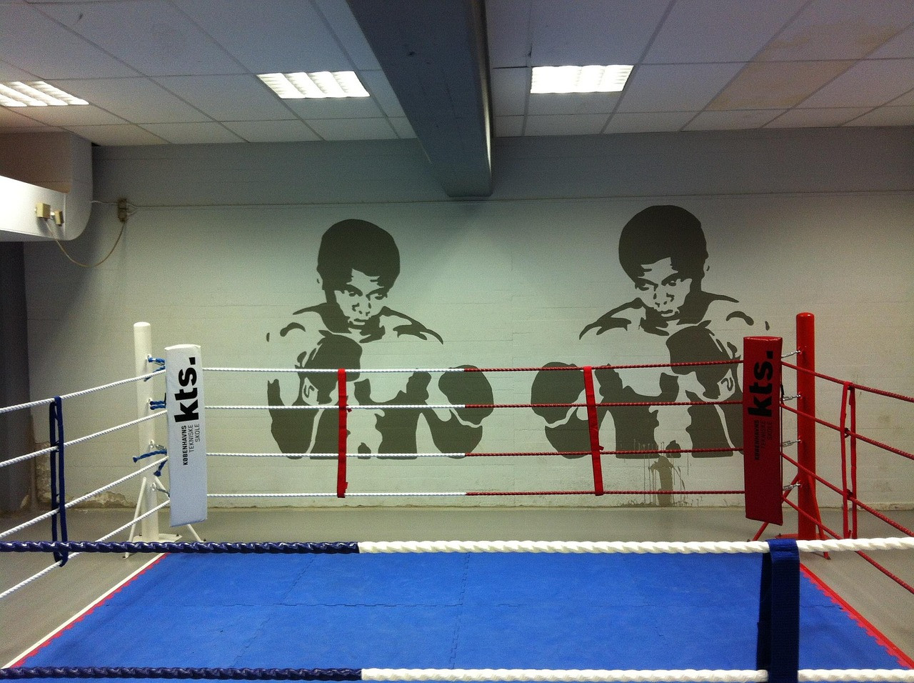 Representative image: empty boxing ring