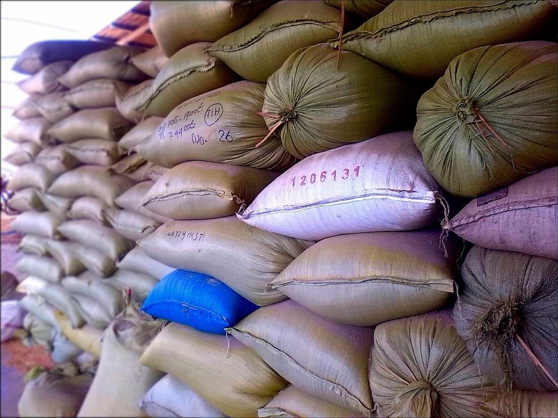 Punjab buys 7.5 lakh tonnes of paddy as storage crunch looms at harvest peak