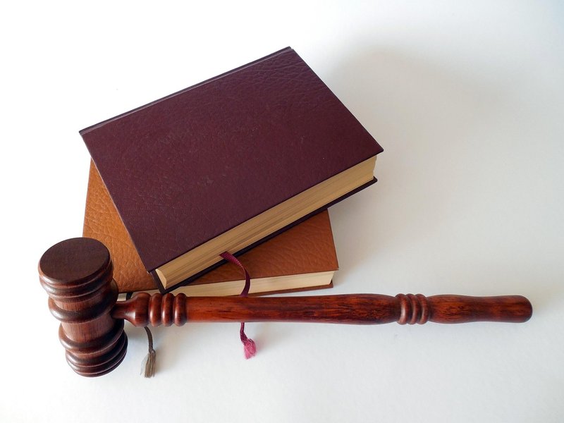 Rajasthan High Court stays hiring of 1,340 contract Ayush Officers