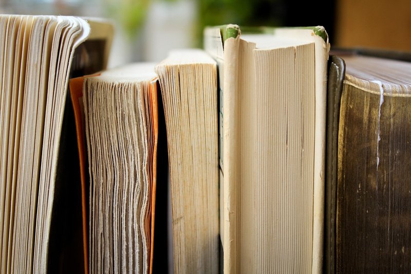 Ramdev launches drive to review 'interpolations' in Sanatan scriptures