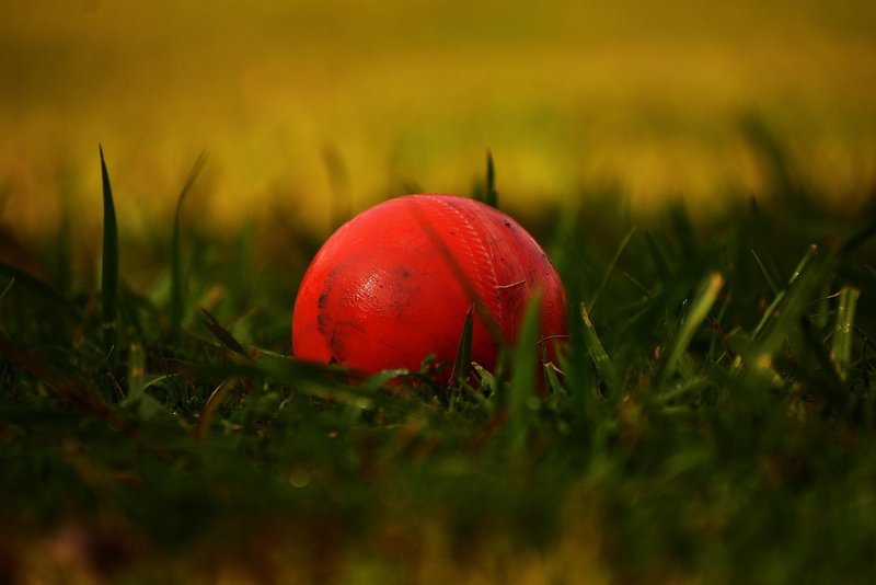 Representative image: cricket red ball pitch