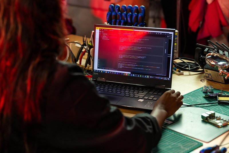 RapidCanvas raises $29 million led by Vertex to turn company AI pilots into production