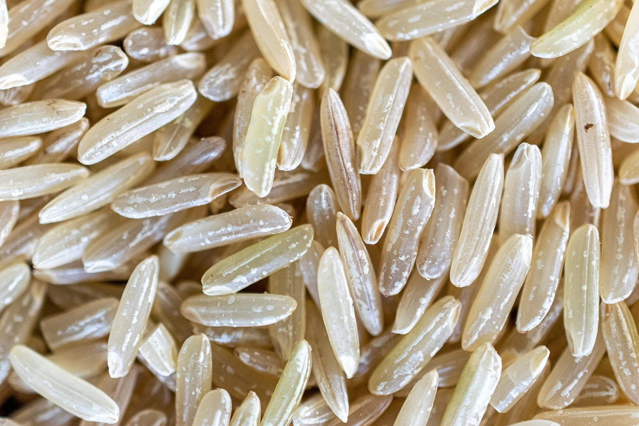 Representative image: rice grains close up