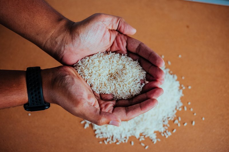 Rice exporters see 149-150 million tonne crop, exports above 24 million