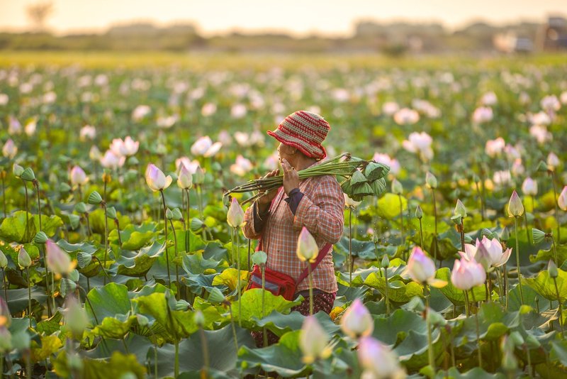 Rural Women's Day 2026: UN Women seeks land rights and a policy voice for women farmers