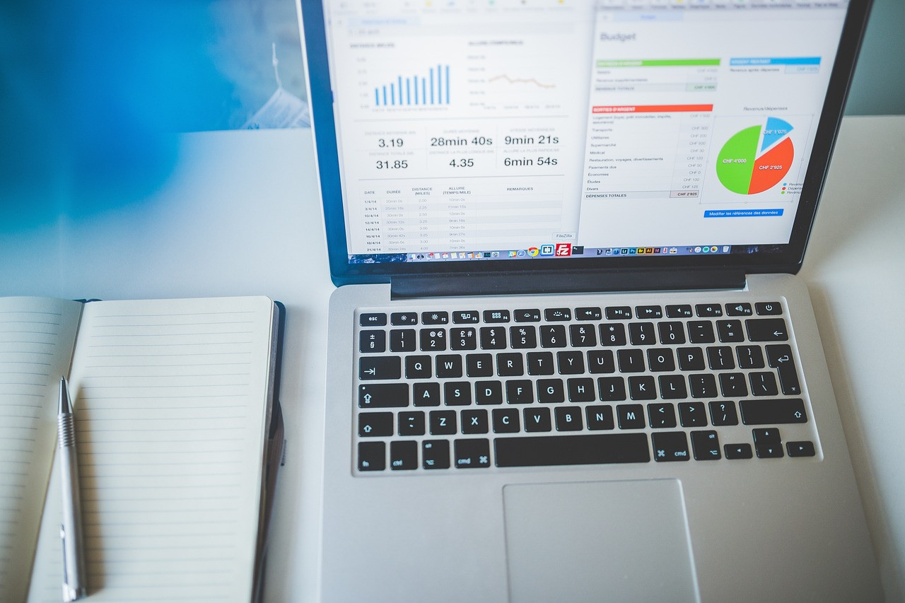 Representative image: business analytics dashboard laptop