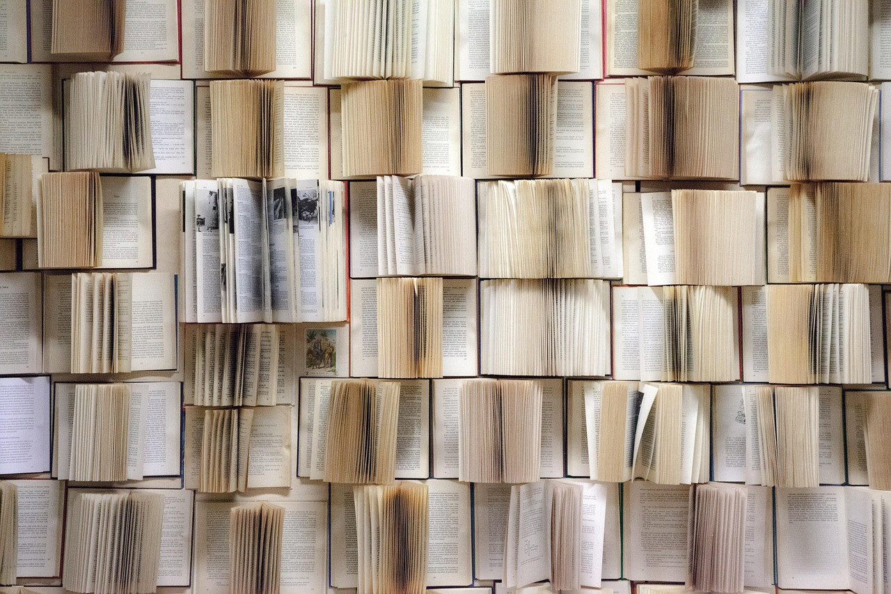 Representative image: open book
