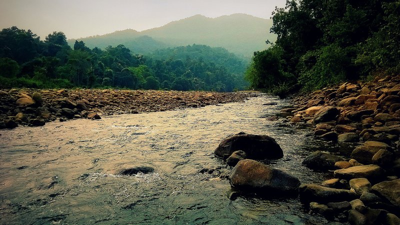 Similipal Tiger Reserve reopens to tourists on November 1: rules and timings