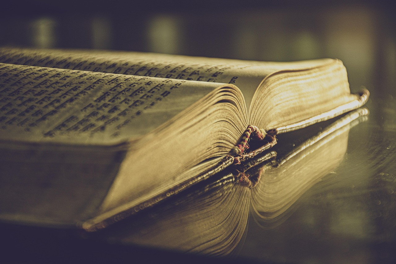 Representative image: open book