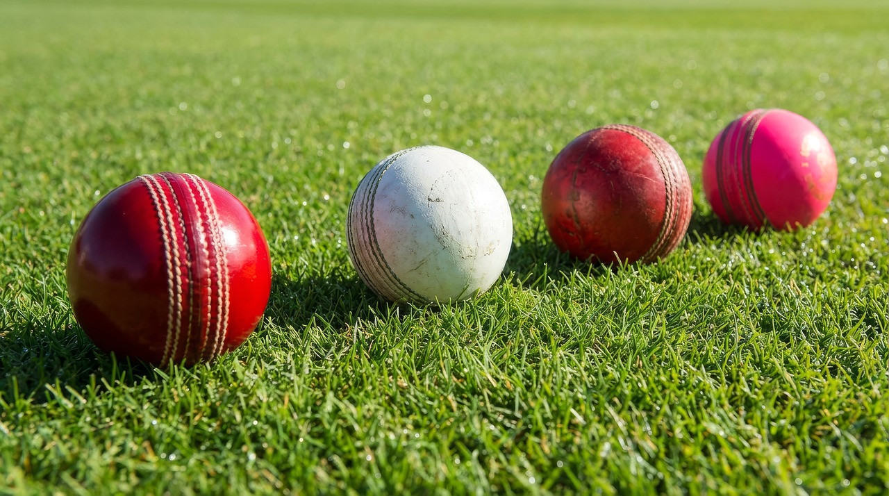 Representative image: cricket ball grass