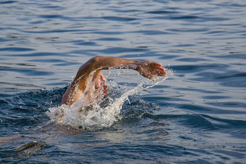 Swimming the California coast: Catherine Breed finishes 900-mile swim