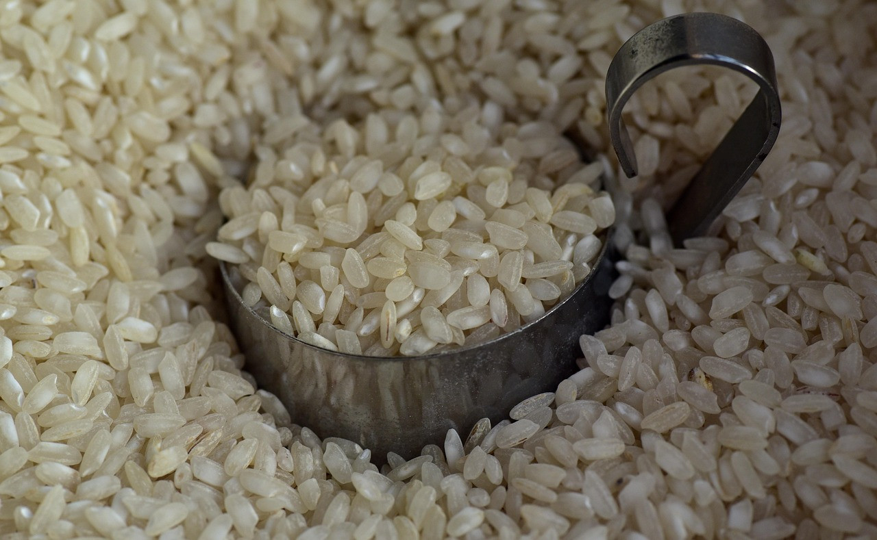 Representative image: rice grains in sacks