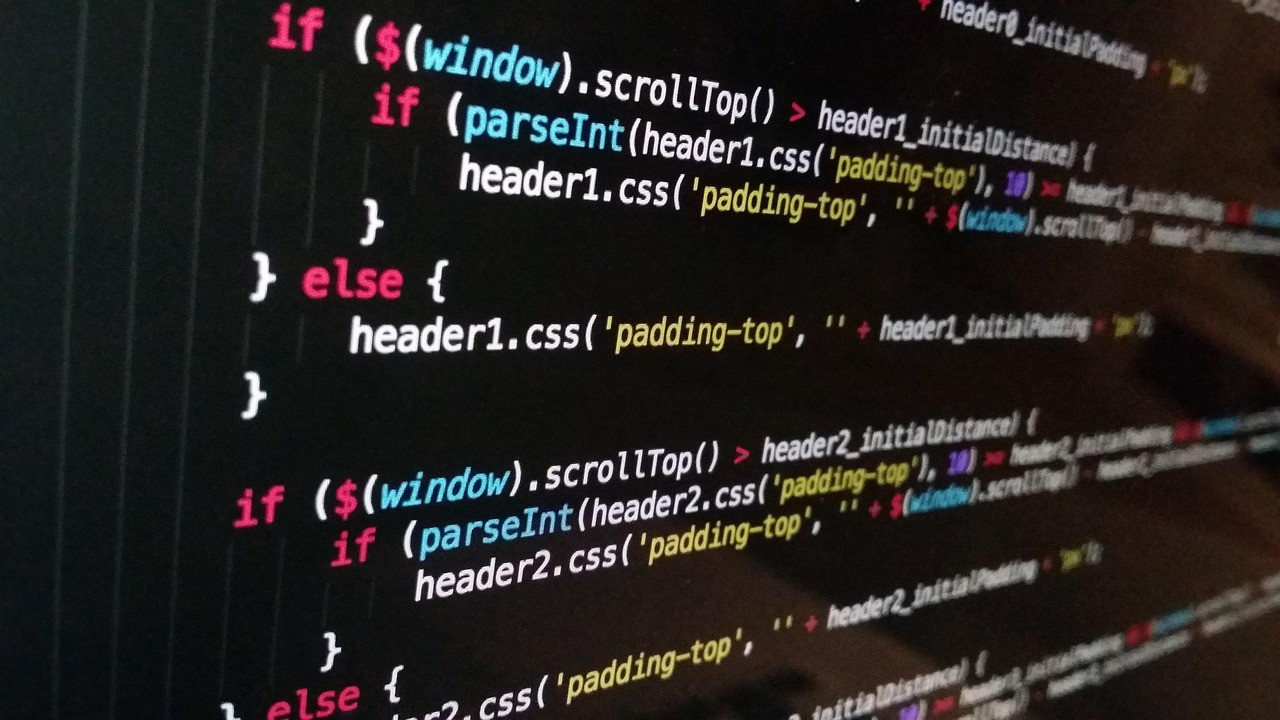 Representative image: computer code on screen