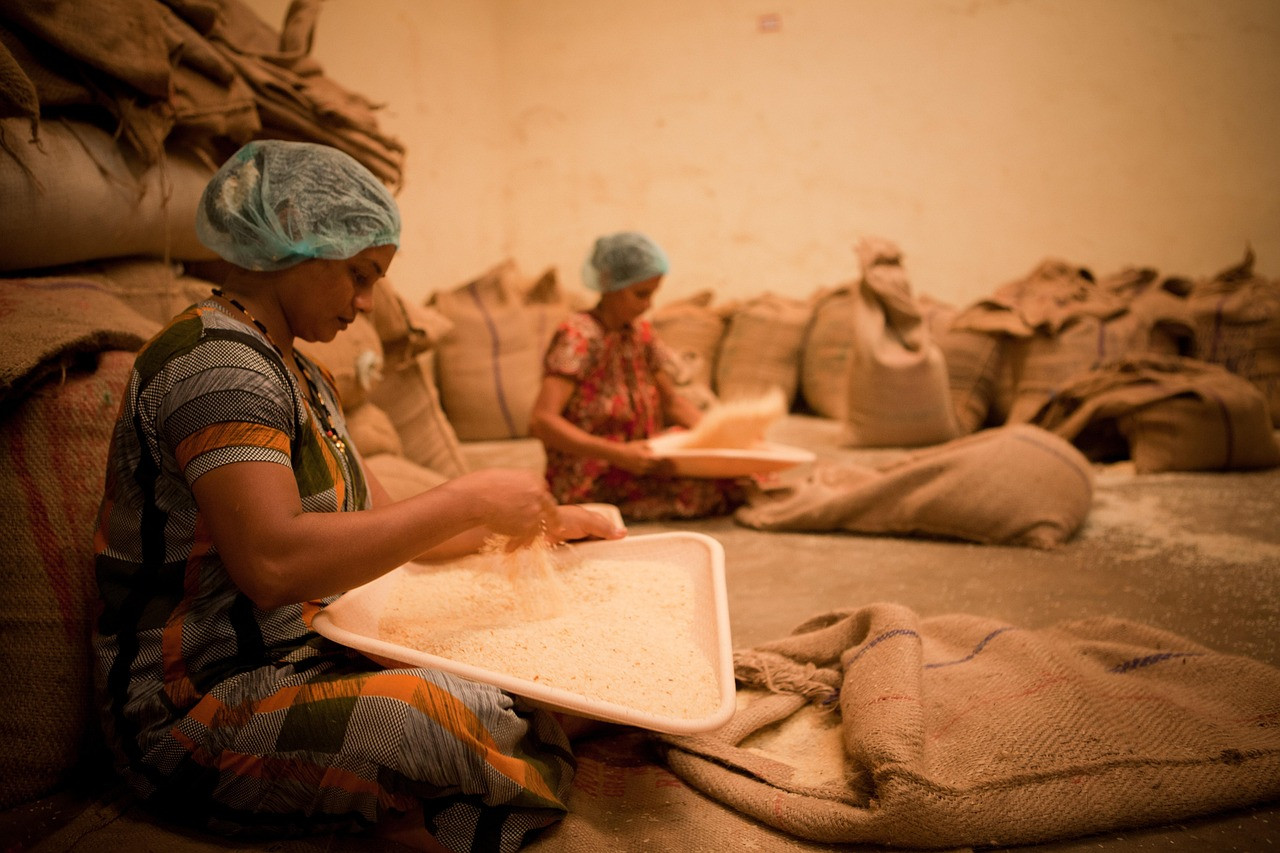 Representative image: rice grains sack