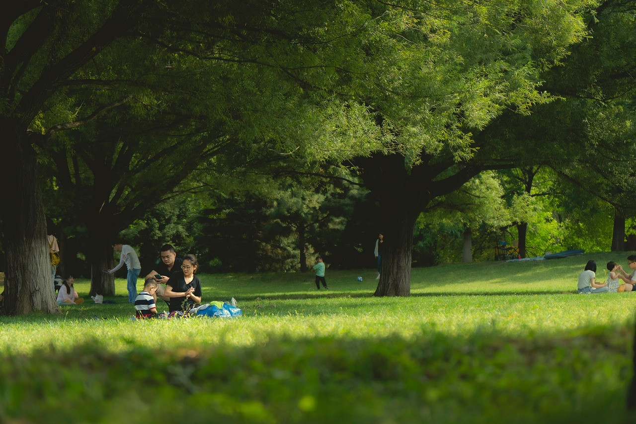 Representative image: picnic in park