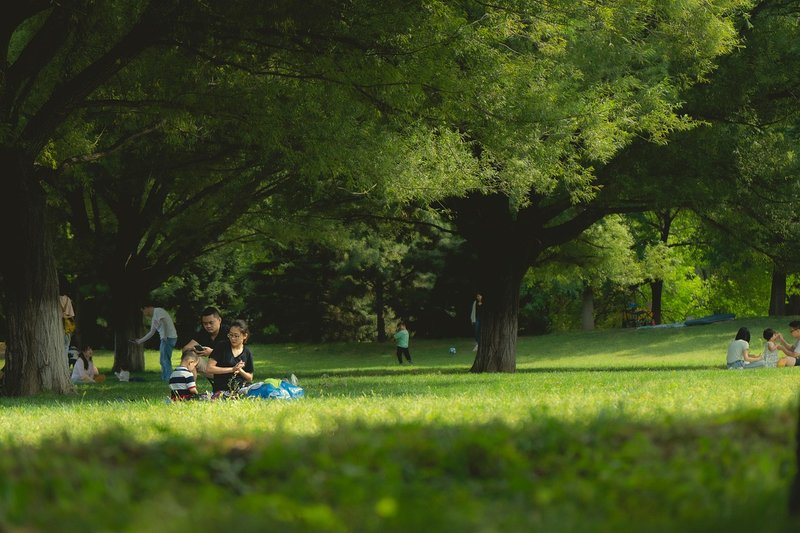 Time in nature linked to intuitive eating in UK study of 500 adults