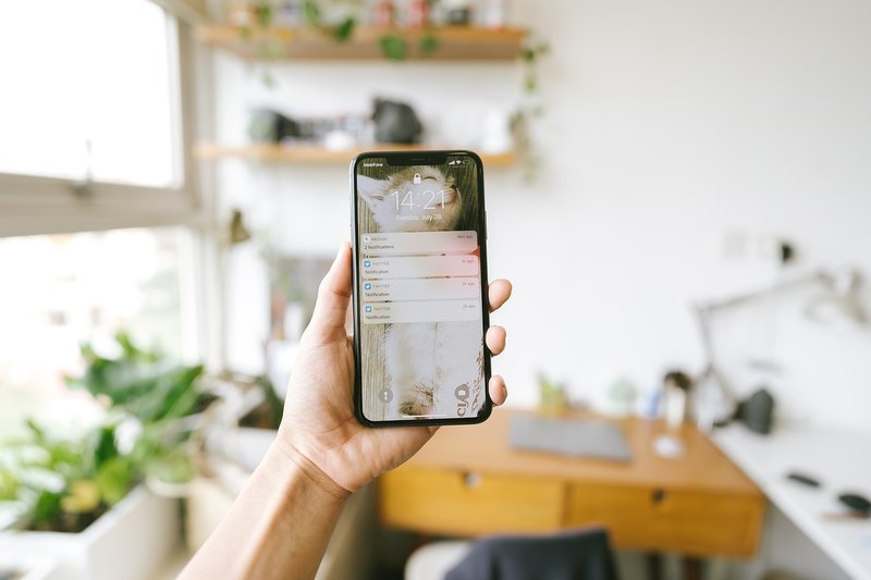 Twin study: family factors explain much of the screen time link to teen mental health