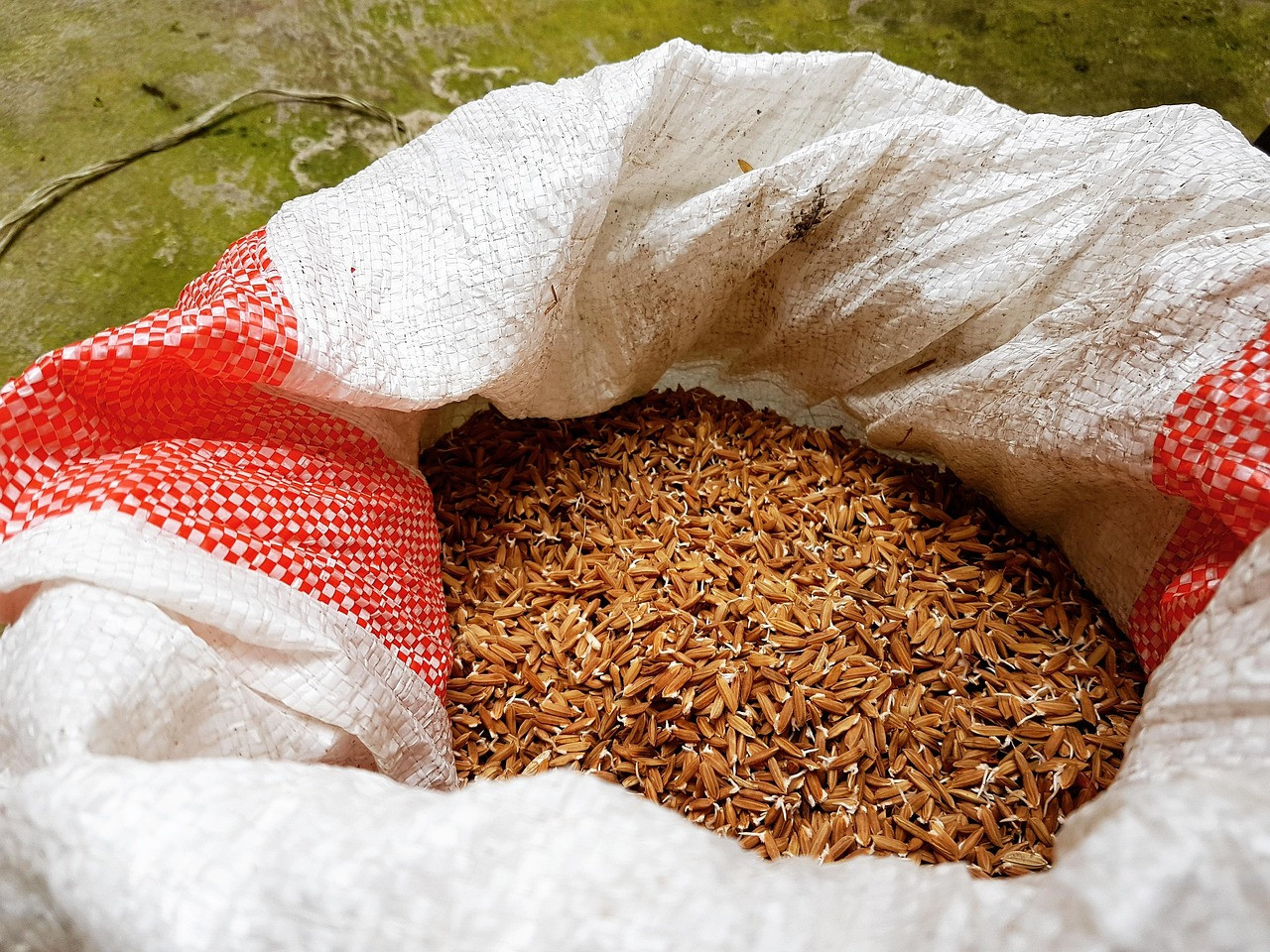 Representative image: paddy rice harvest sacks