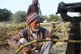 UP cane farmers seek Rs 600 a quintal, warn of protest if no price by October 20