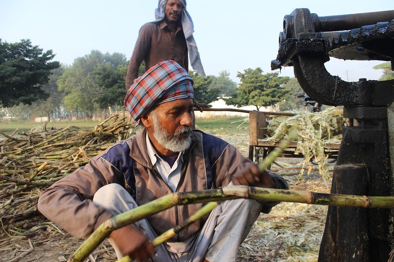 UP cane farmers seek Rs 600 a quintal, warn of protest if no price by October 20