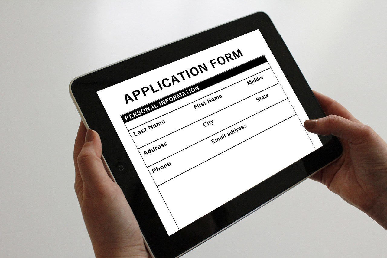 Representative image: visa application documents