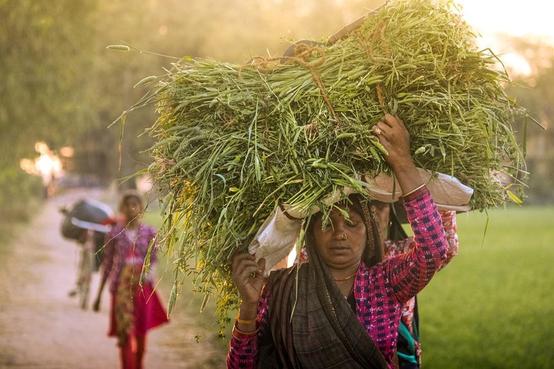 Representative image: rural workers digging village pond