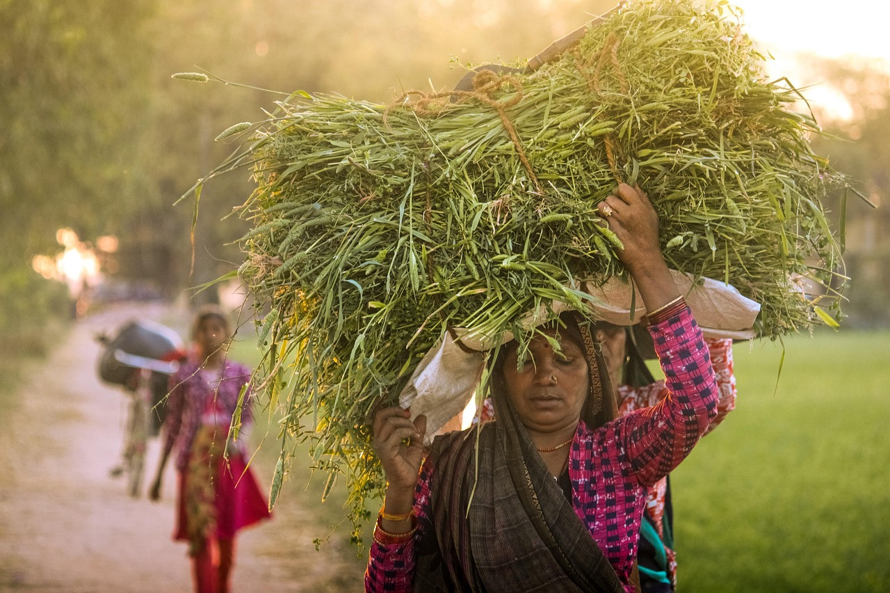 Representative image: rural workers digging village pond