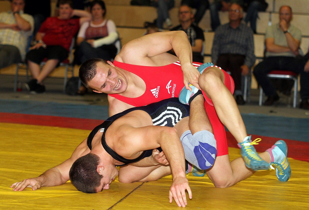 Representative image: wrestling mat match
