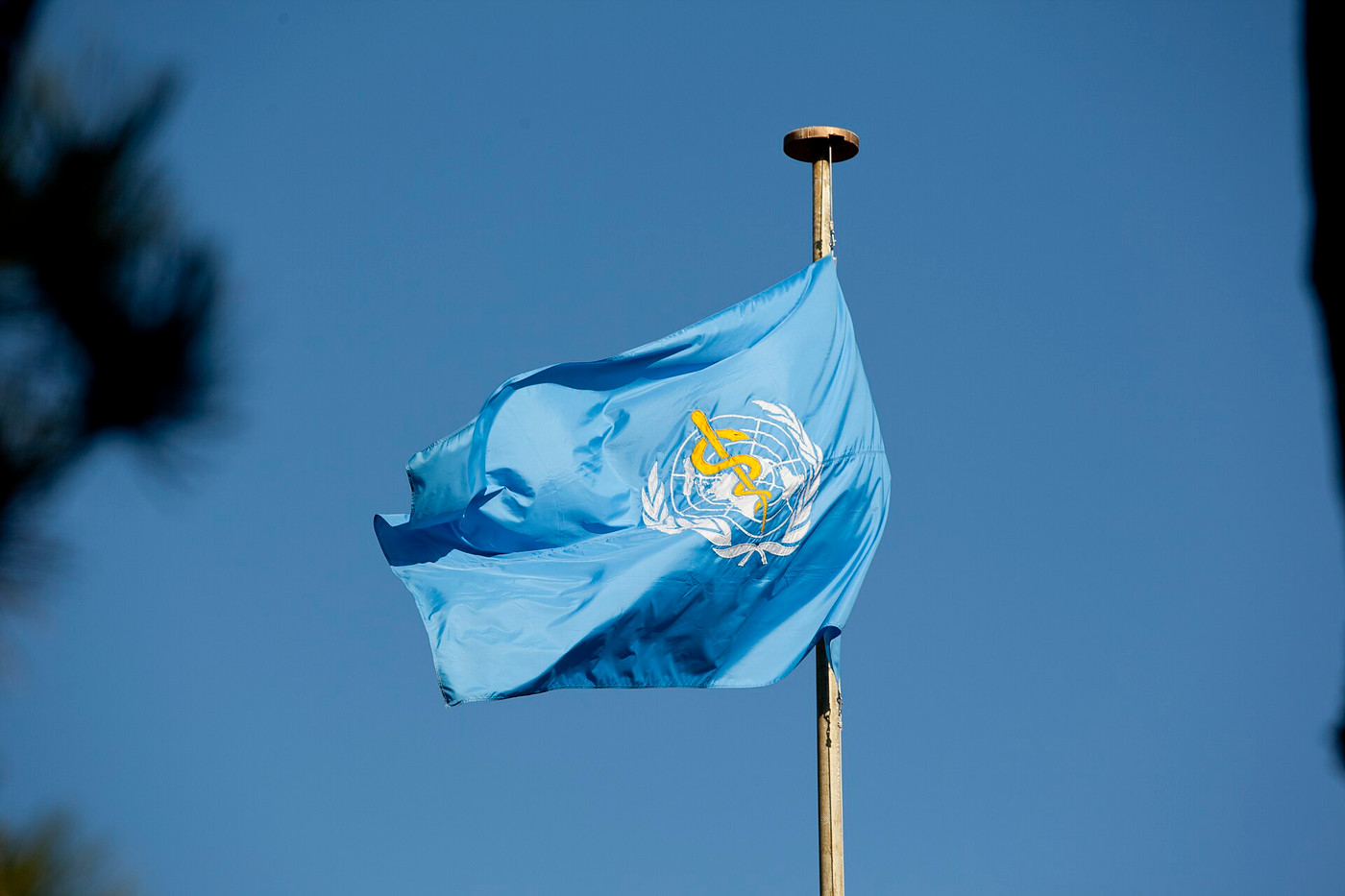File photo: World Health Organization